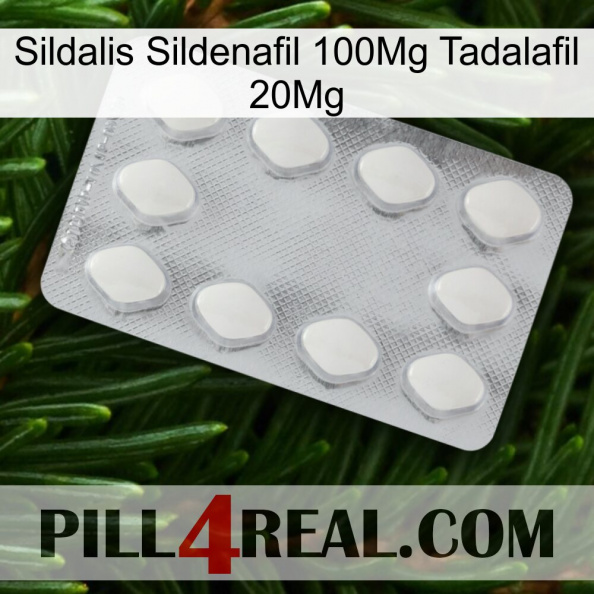 Sildalis Sildenafil 100Mg Tadalafil 20Mg 16.jpg